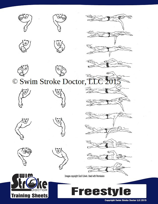 ©Swim Stroke Doctor Freestyle Training Sheet