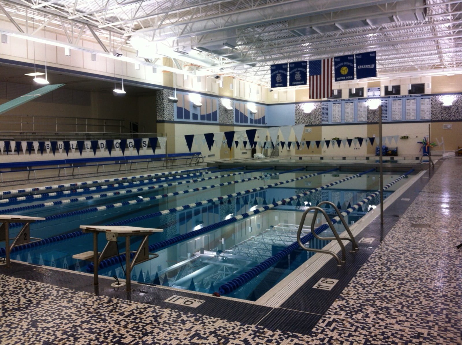 Riverside Brookfield High School. Swimming Technique Video Analysis